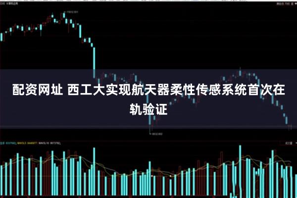 配资网址 西工大实现航天器柔性传感系统首次在轨验证